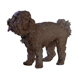 Poodle Dog